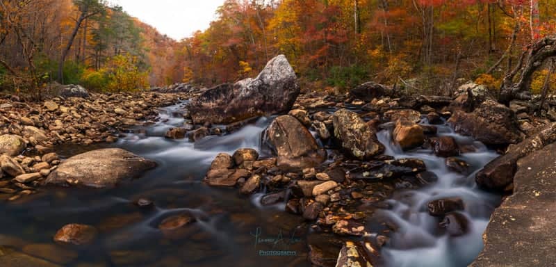 North Chickamauga Creek Gorge - Image 1