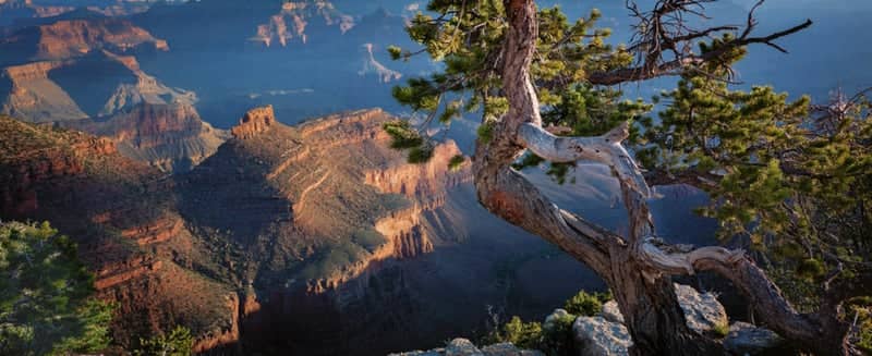Grand Canyon South Rim - Image 1