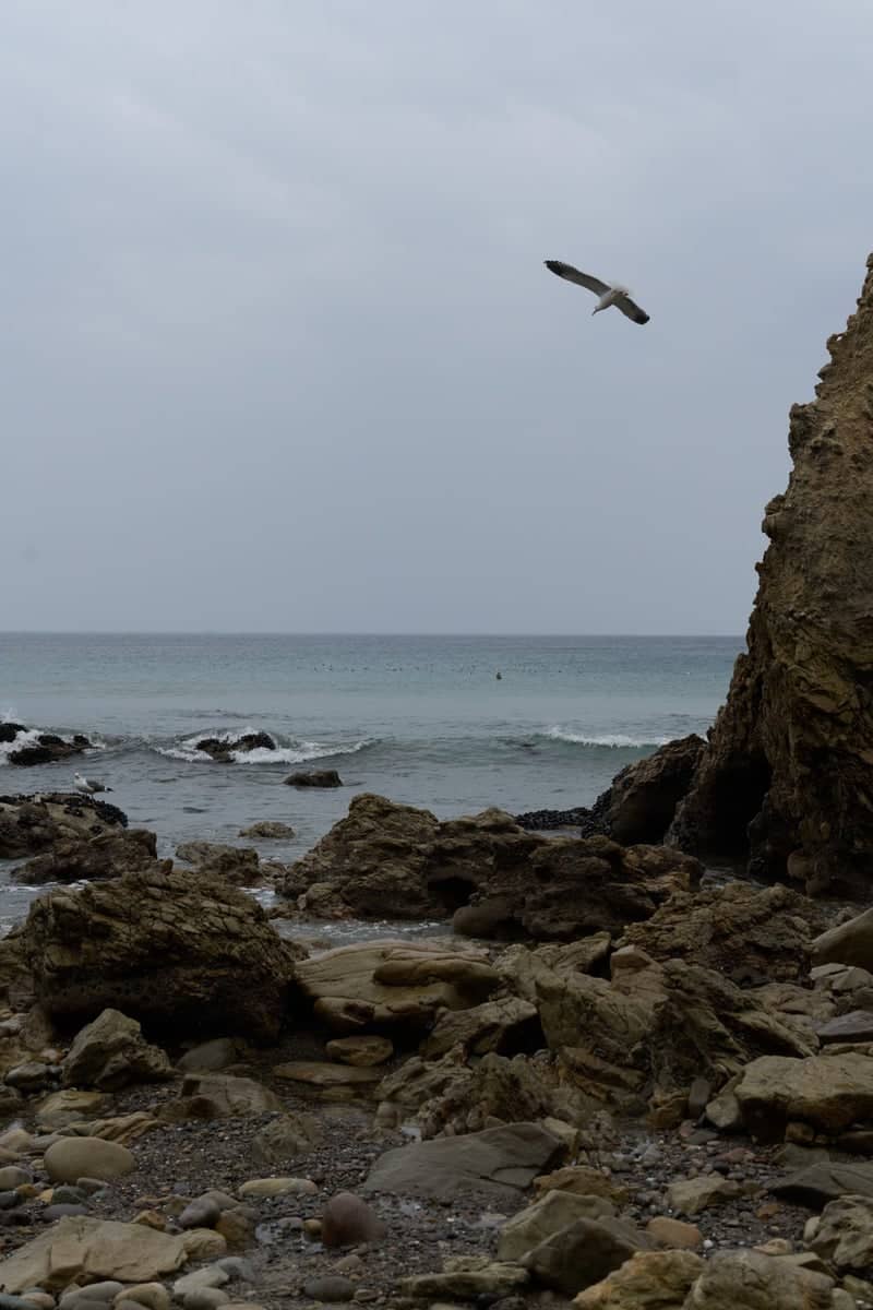El Matador State Beach - Image 1