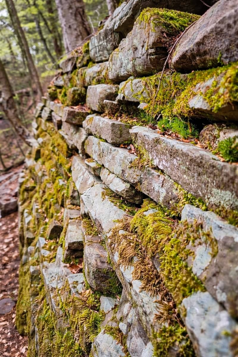 Falls Trail Stone Wall, Ricketts Glen - Image 1