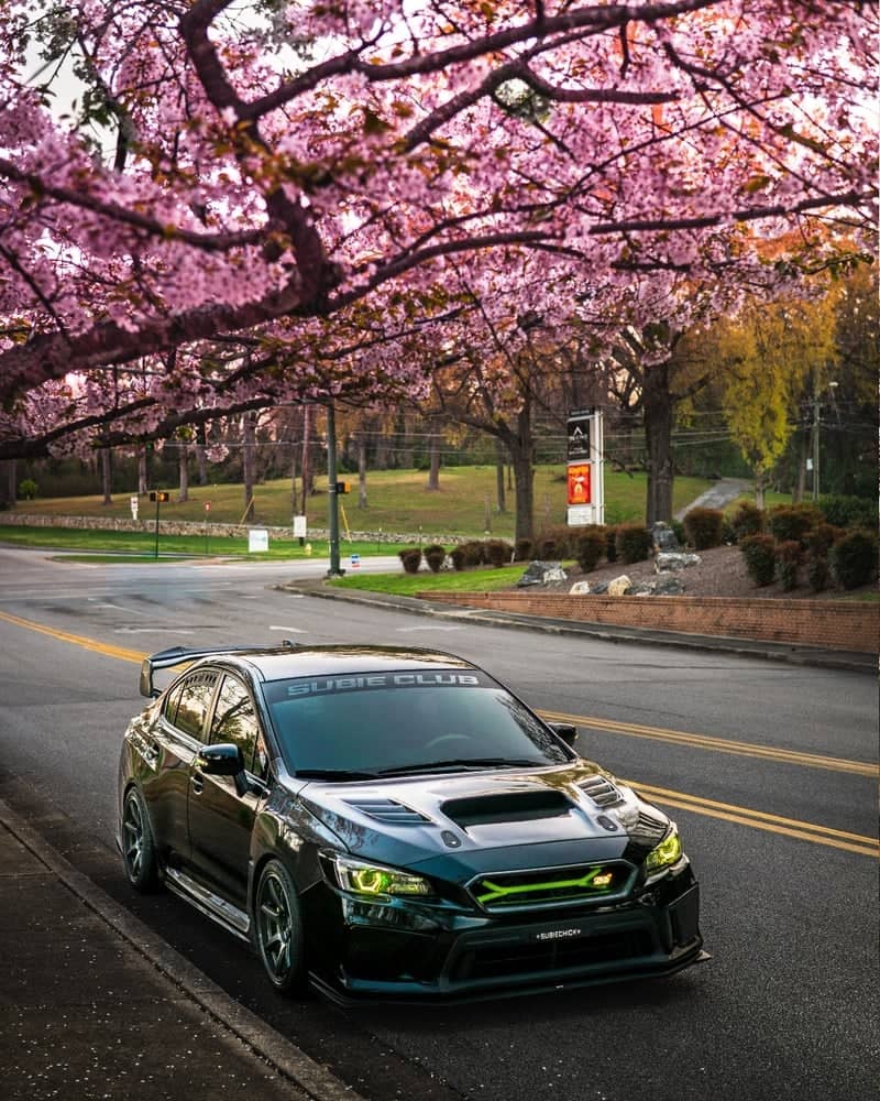 Premier Drive Spring Canopy - Image 1