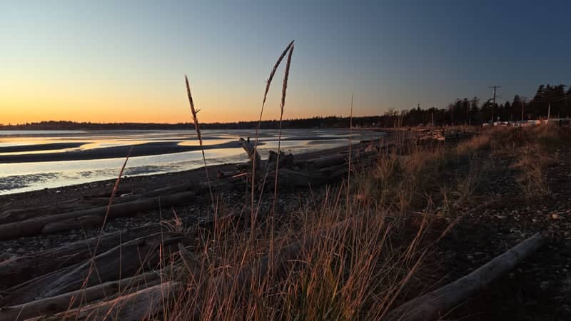 Birch Bay Shoreline - Image 1