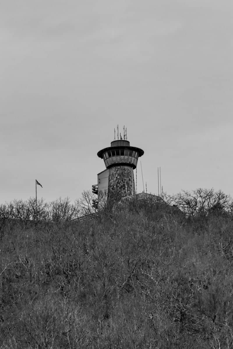 Fields of the Wood Observation Tower - Image 1