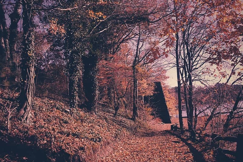 Cornwall Iron Furnace Park - Image 1