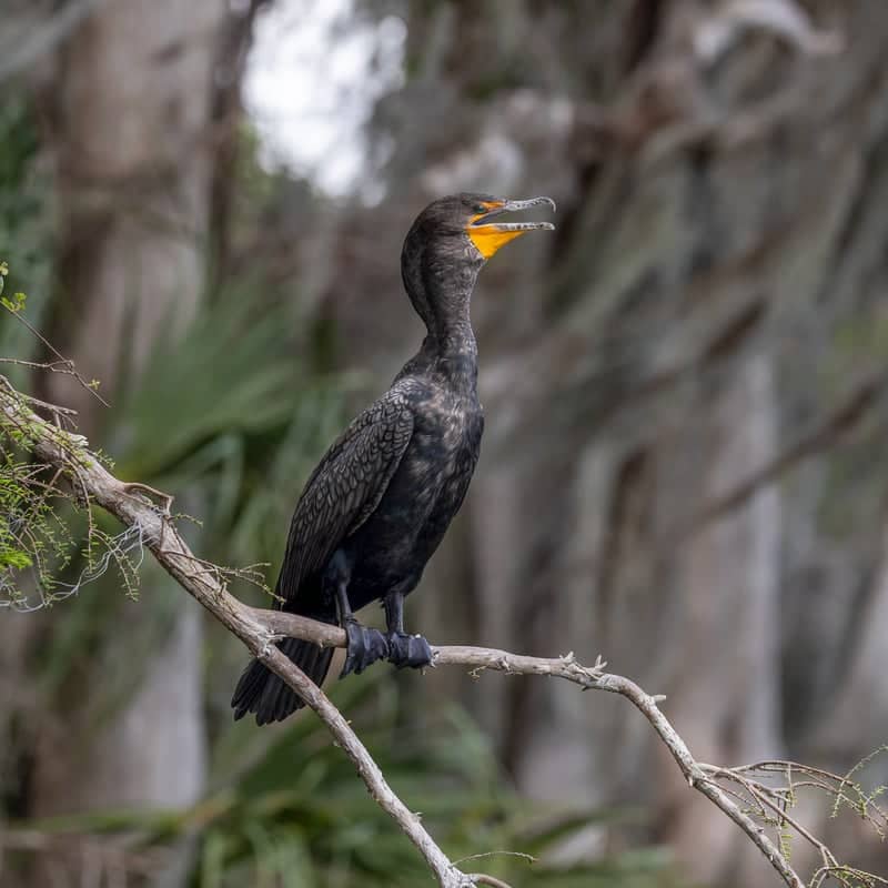 Circle B Bar Preserve - Image 1