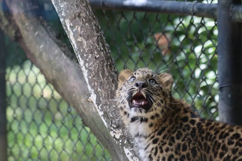 Beardsley Zoo - Image 1