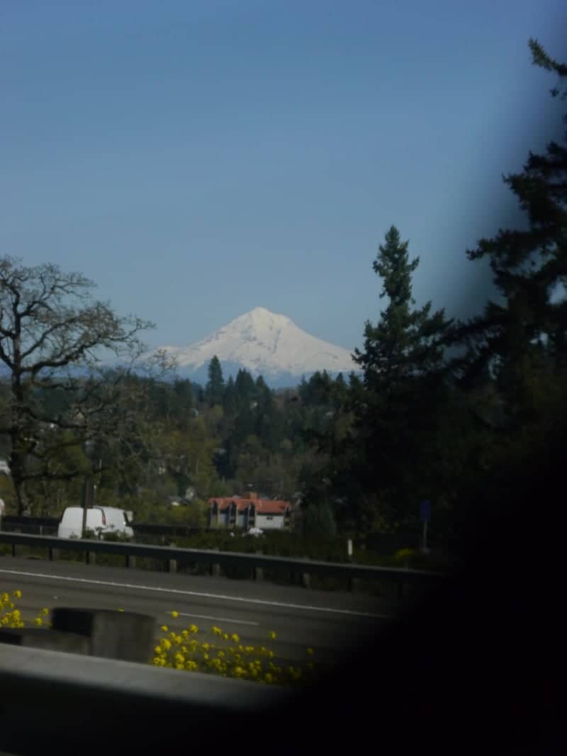 Mt. Hood Viewpoint, West Linn - Image 1
