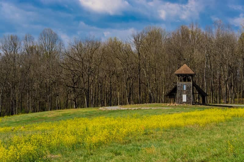 Cool Spring Battlefield - Image 1