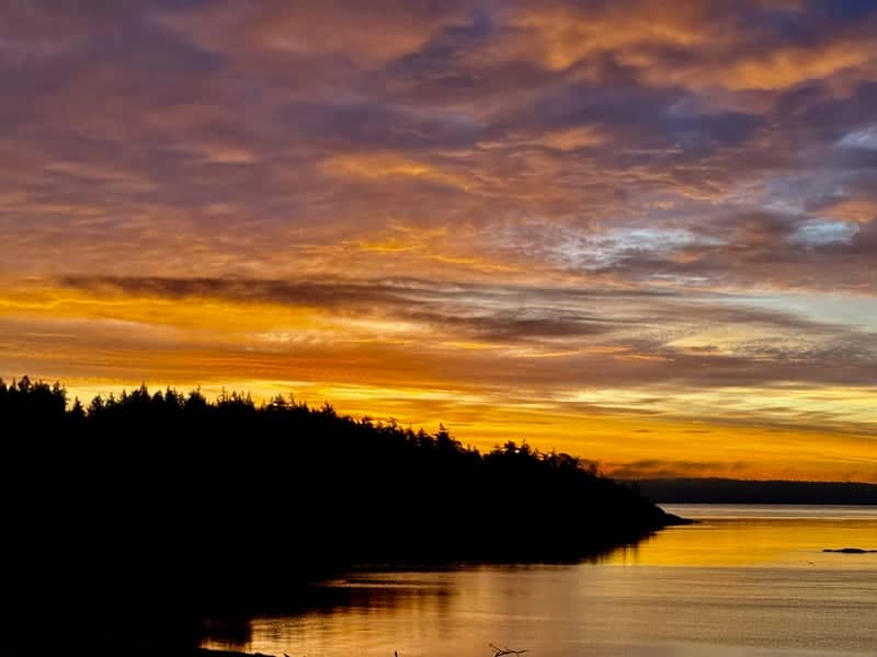 Friday Harbor Coastline - Image 1