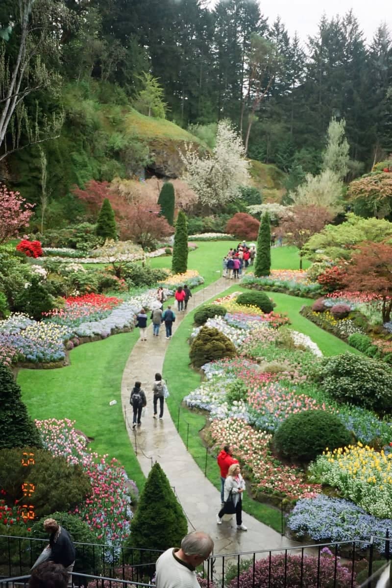 The Butchart Gardens - Sunken Garden - Image 1