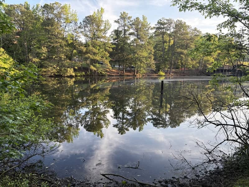 Hoover Lakeside Reflection - Image 1
