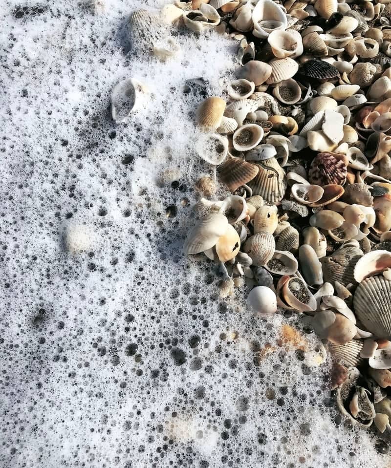 Jensen Beach Shoreline - Image 1