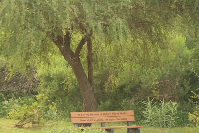 Robert Wayne Shafer Memorial Bench - Image 1