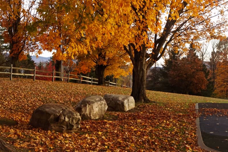 Everett Mansion Grounds - Image 1