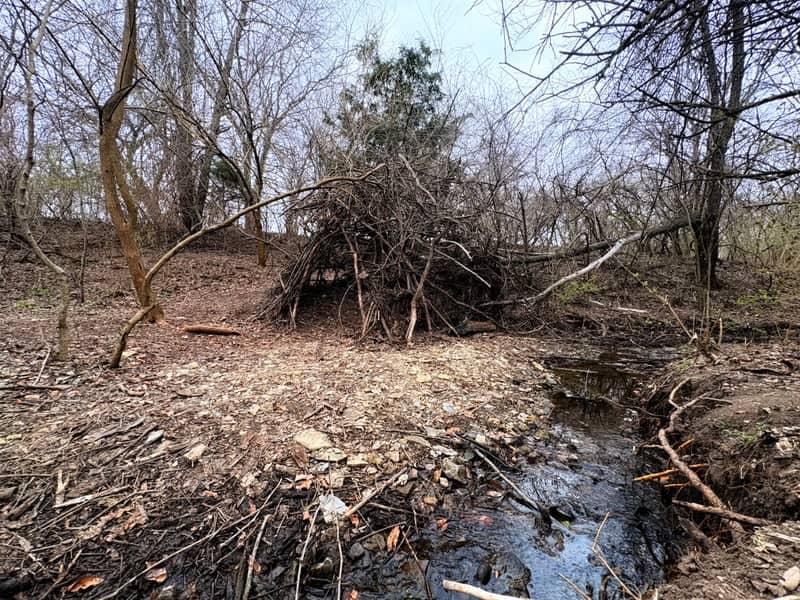 Fleming Park Creek Trail - Image 1
