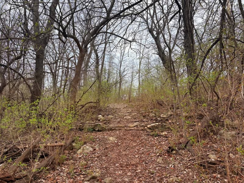 Legacy Park Waterfall Trail - Image 1