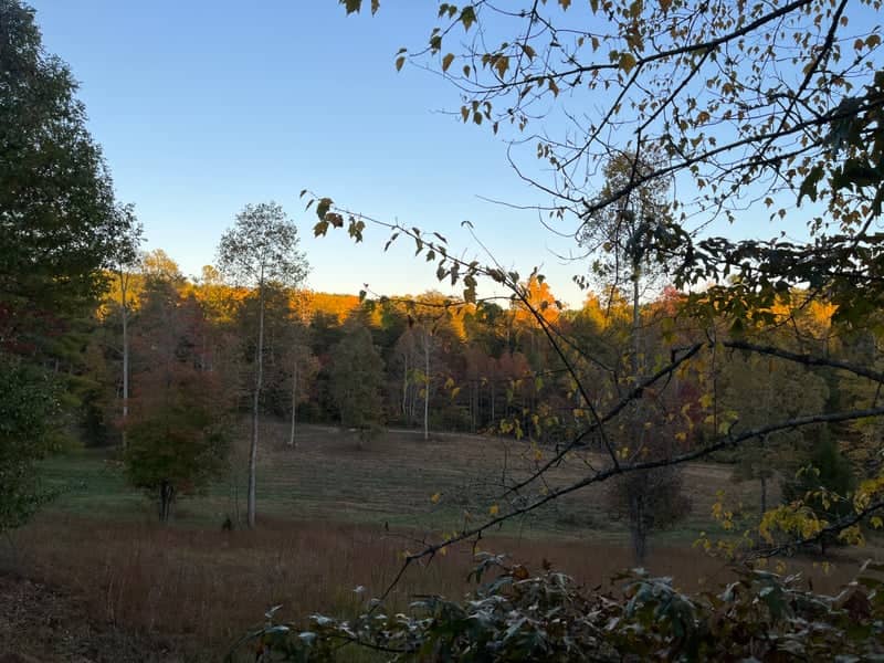 Forest Hills Resort Meadow - Image 1