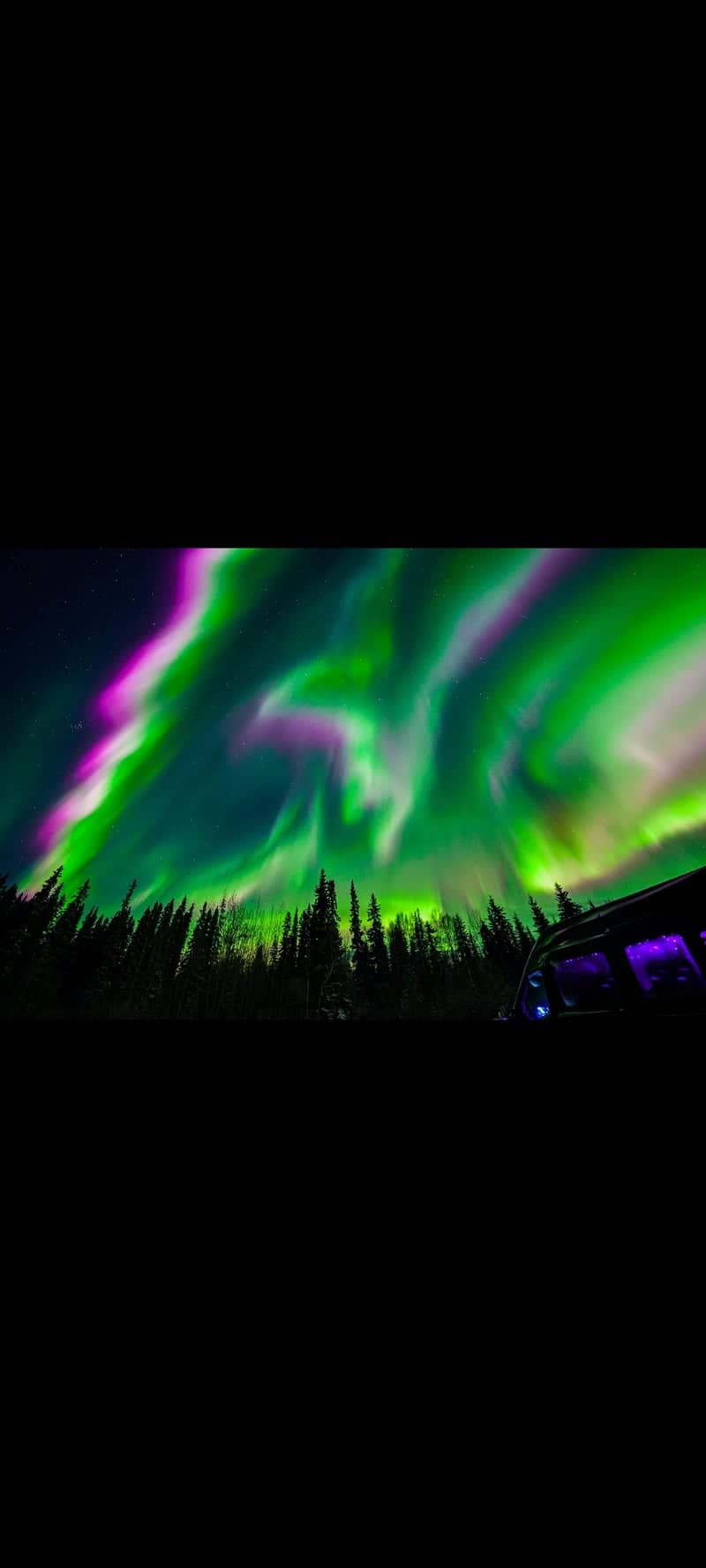 Fairbanks Boreal Forest Aurora - Image 1