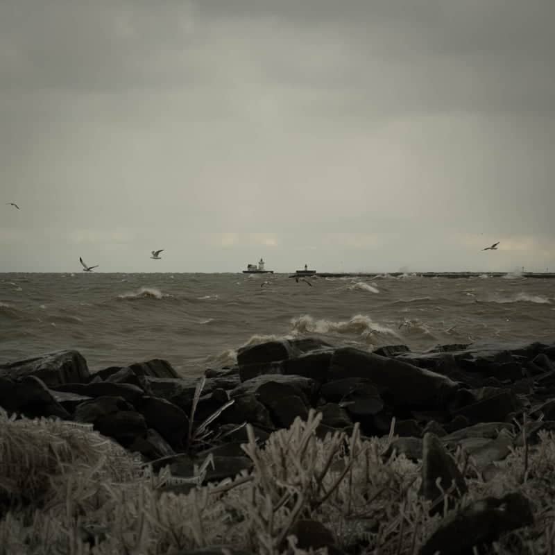 Edgewater Park Shoreline - Image 1