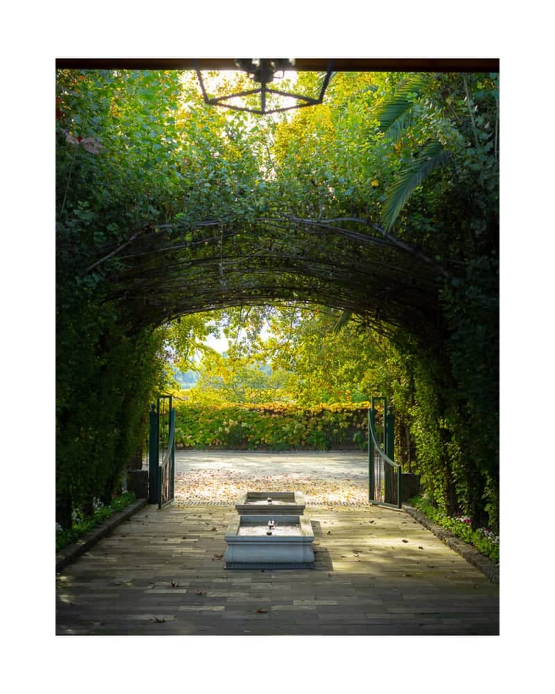 Caymus Vineyards Courtyard - Image 1