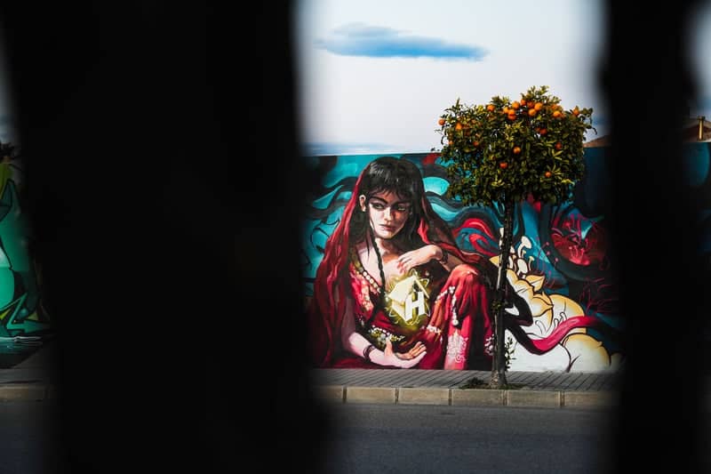 Torrevieja Street Art Mural - Image 1