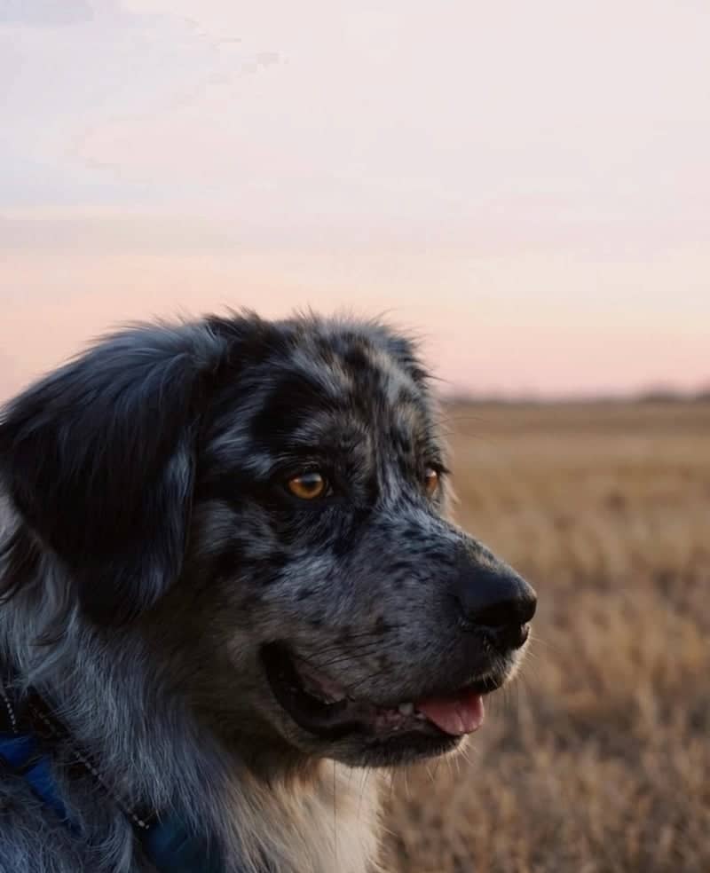 De Pere Open Fields - Image 1