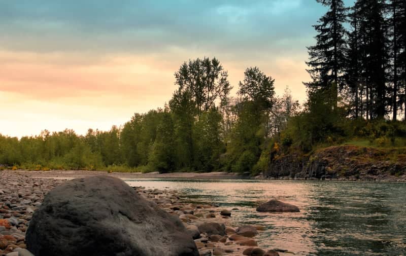 Cowlitz River Bank - Image 1