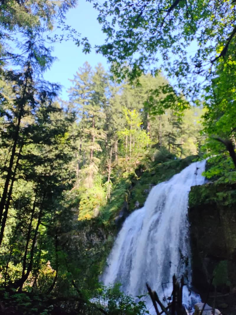 Little Mashel Falls - Image 1