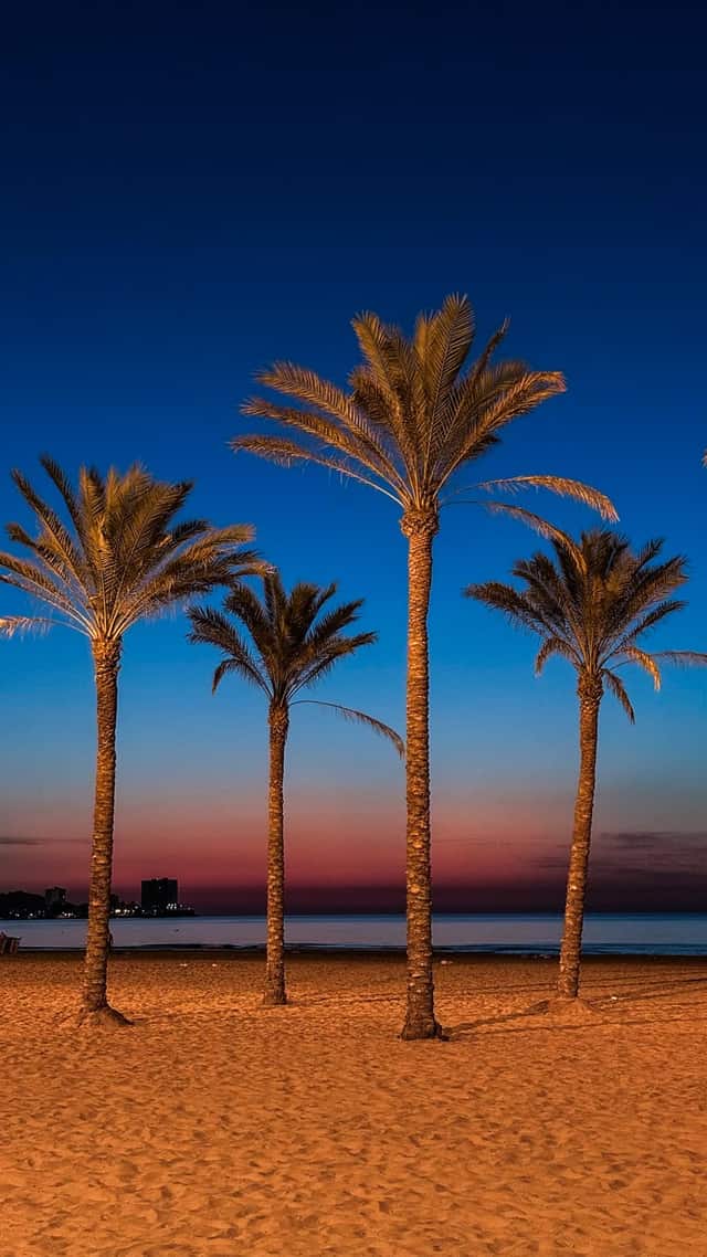 Playa de San Antonio, Cullera