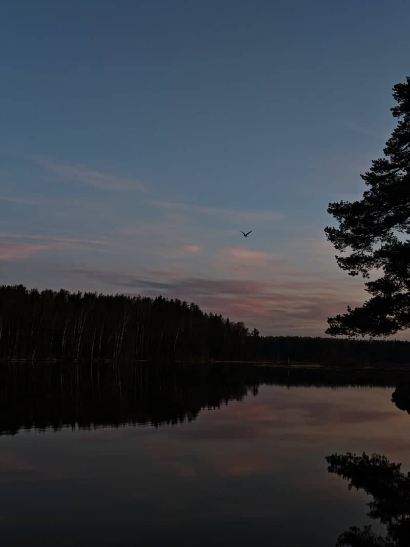 Mednozavodskoye Lake - Image 1