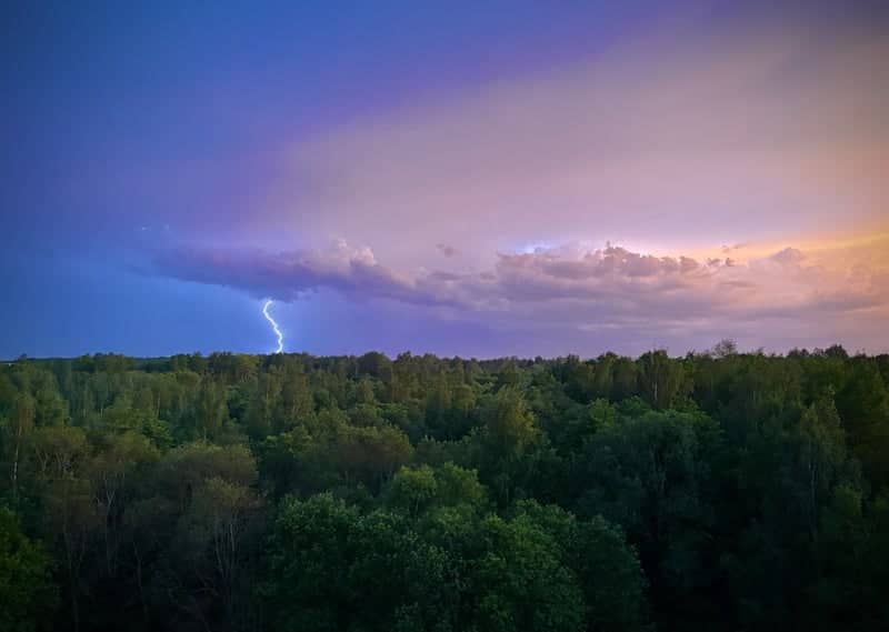 Babolovskiy Park Forest Overlook - Image 1