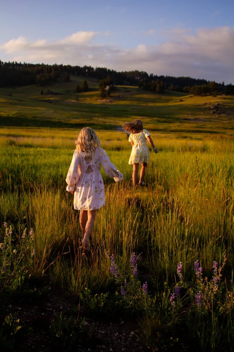 Bighorn National Forest Meadow - Image 1