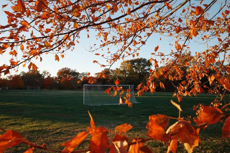 Concordia Seminary Grounds - Image 1