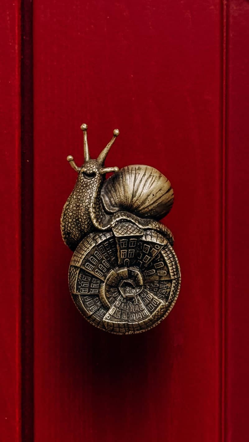 Snail Door Handle of Svetlogorsk - Image 1