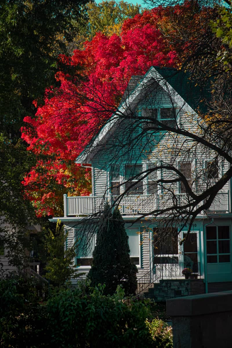 Tenney-Lapham Neighborhood - Image 1