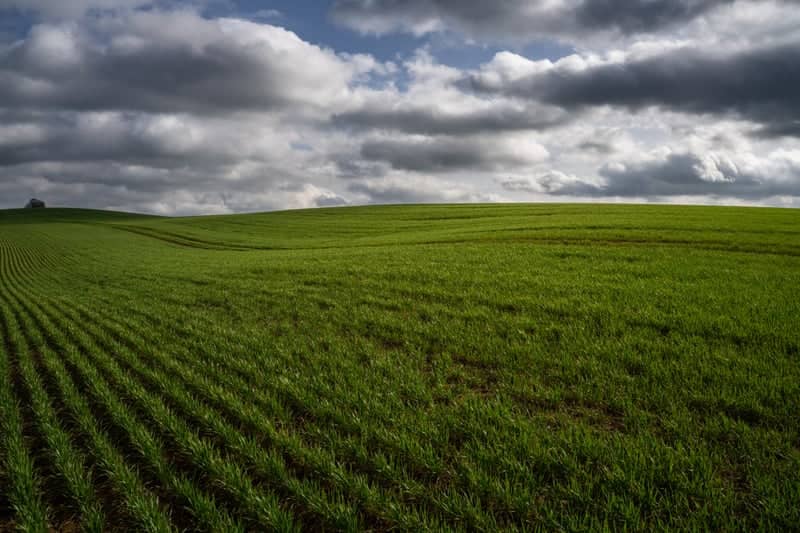 West Leake Rolling Fields - Image 1