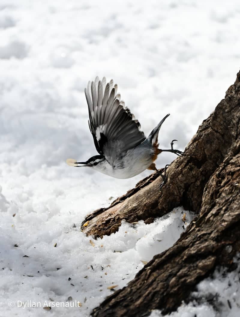 Confederation Park - Image 1