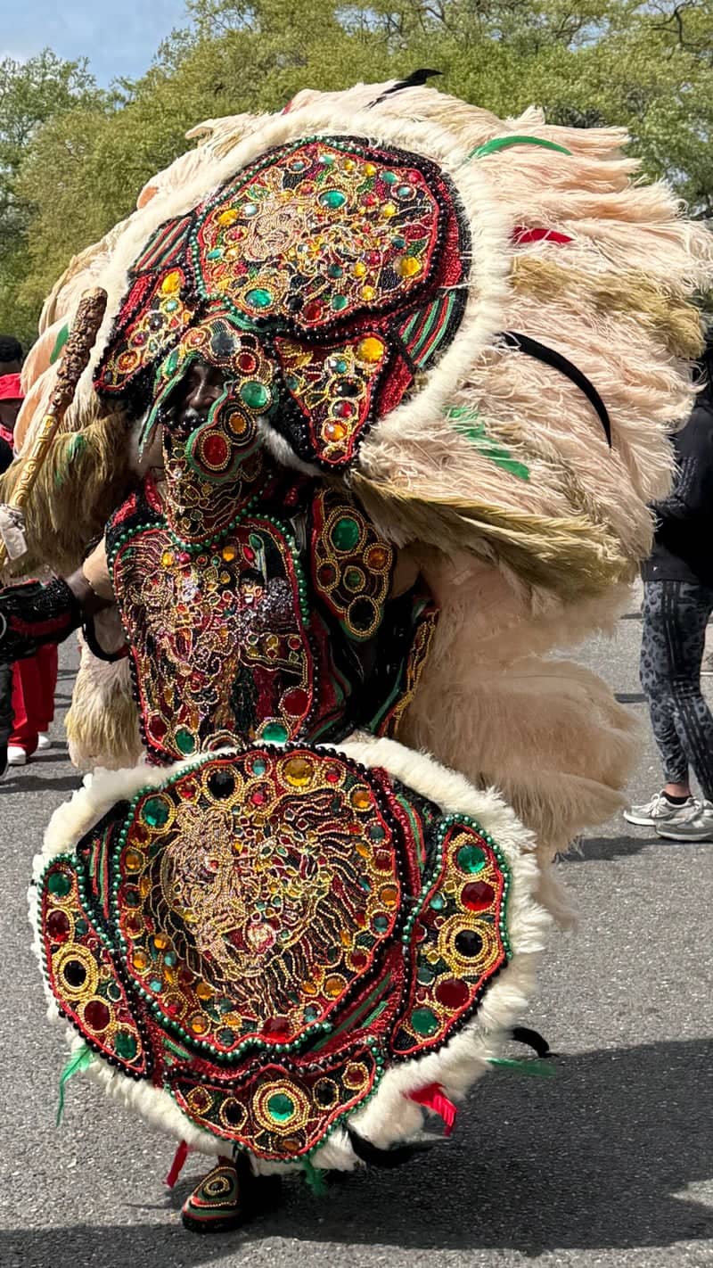 Mardi Gras Indian Parade, New Orleans - Image 1