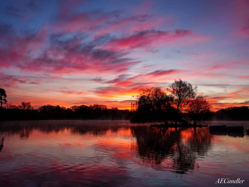 Petersfield Heath Pond - Image 1