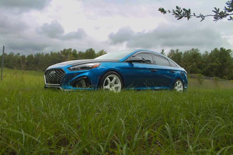 Deltona Roadside Field - Image 1
