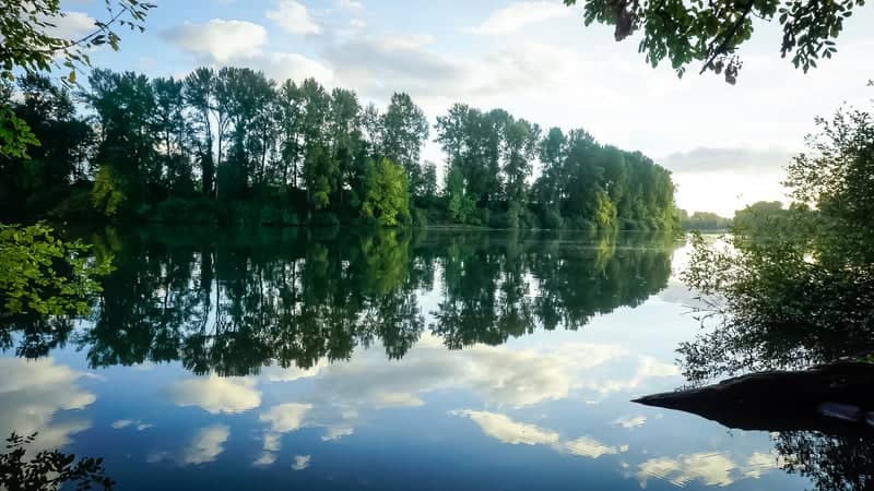 Willamette River Reflection Point - Image 1