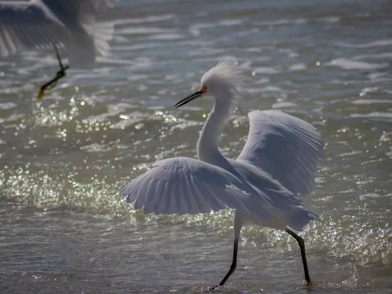Indian Shores Beach - Image 1
