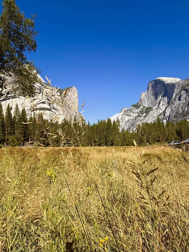 Merced River and Cathedral Rocks - Image 2