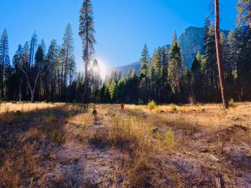 Merced River and Cathedral Rocks - Image 4