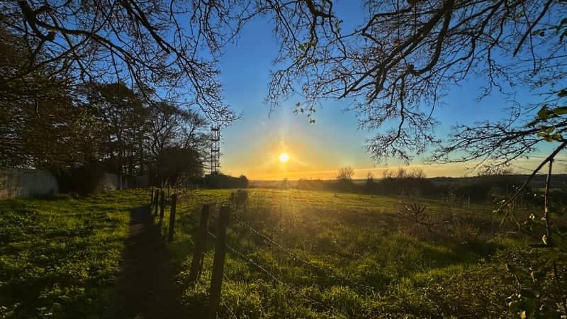 Odiham Countryside Path - Image 1