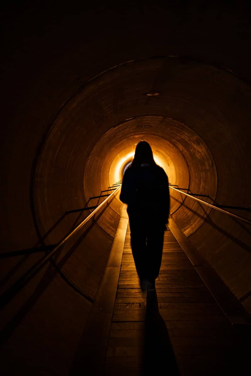 MONA (Museum of Old and New Art) - Image 1