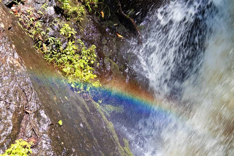 Bushkill Falls - Image 2