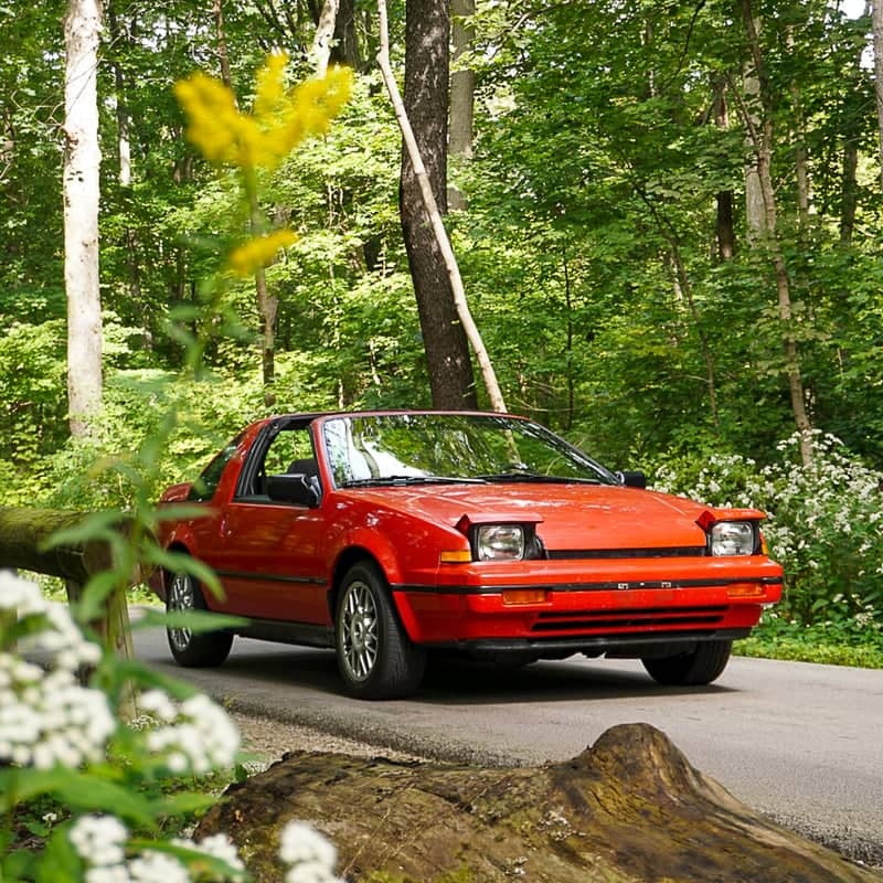 Pilcher Park Forest Drive - Image 1