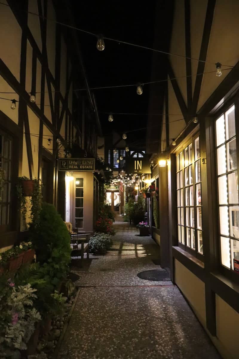 Carmel-by-the-Sea Hidden Courtyard - Image 1