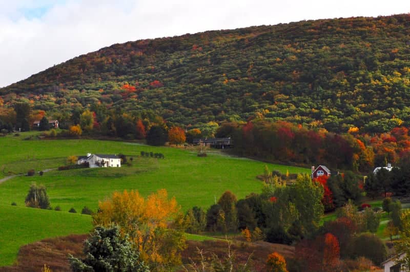 Breezy Hill Countryside - Image 1